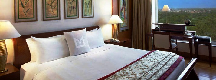 88/Sheraton_New Delhi_Hotel-New Delhi_10.jpg